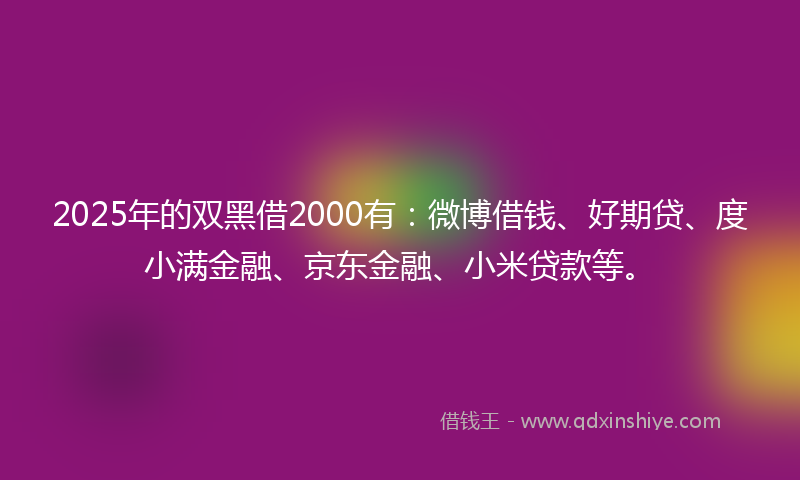 2025年的双黑借2000有：微博借钱、好期贷、度小满金融、京东金融、小米贷款等。