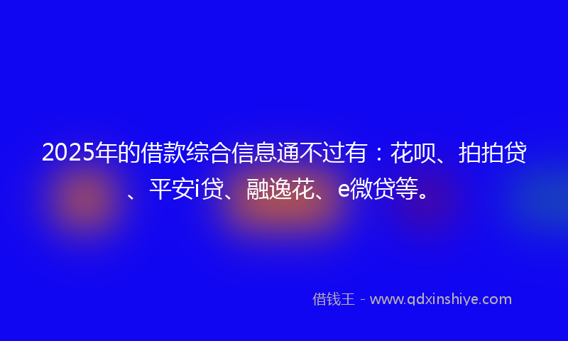 2025年的借款综合信息通不过有:花呗、拍拍贷、平安i贷、融逸花、e微贷等。