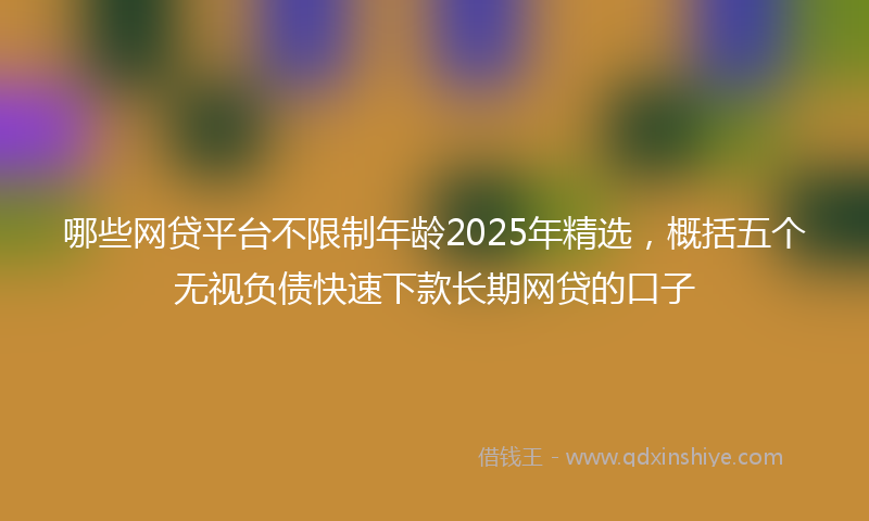 哪些网贷平台不限制年龄2025年精选，概括五个无视负债快速下款长期网贷的口子