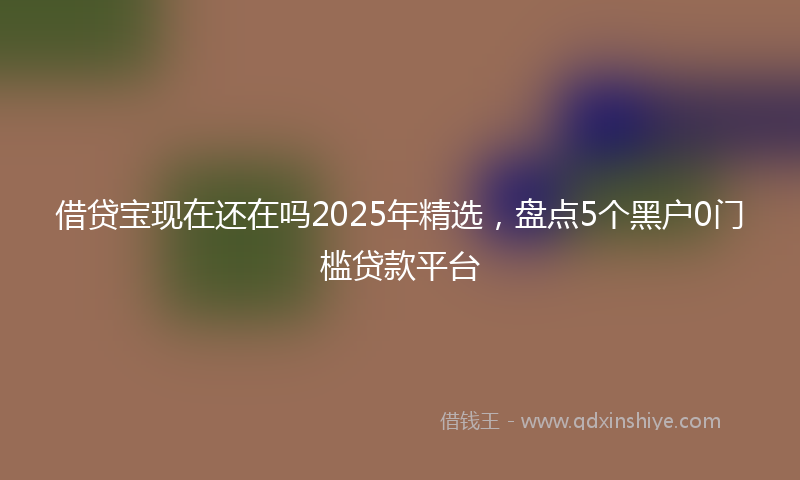借贷宝现在还在吗2025年精选，盘点5个黑户0门槛贷款平台