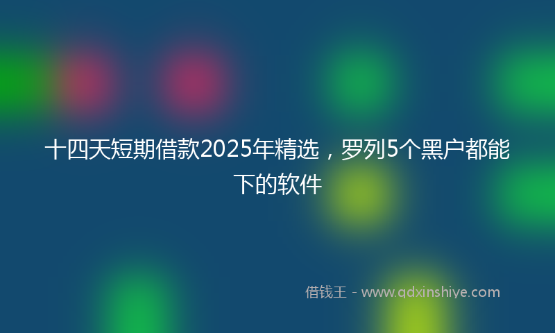 十四天短期借款2025年精选，罗列5个黑户都能下的软件