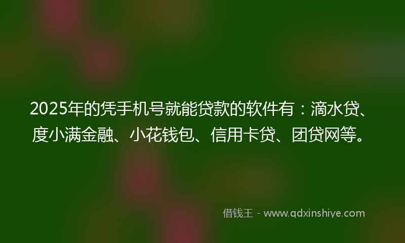 2025年的凭手机号就能贷款的软件有：滴水贷、度小满金融、小花钱包、信用卡贷、团贷网等。