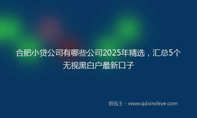 合肥小贷公司有哪些公司2025年精选，汇总5个无视黑白户最新口子
