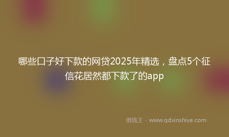 哪些口子好下款的网贷2025年精选，盘点5个征信花居然都下款了的app