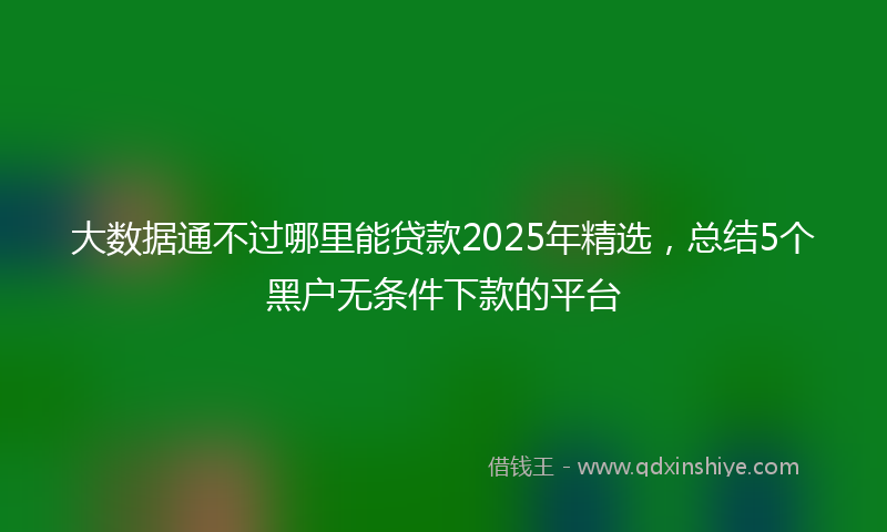 大数据通不过哪里能贷款2025年精选，总结5个黑户无条件下款的平台