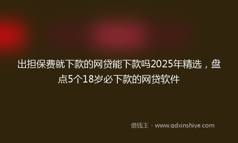 出担保费就下款的网贷能下款吗2025年精选，盘点5个18岁必下款的网贷软件