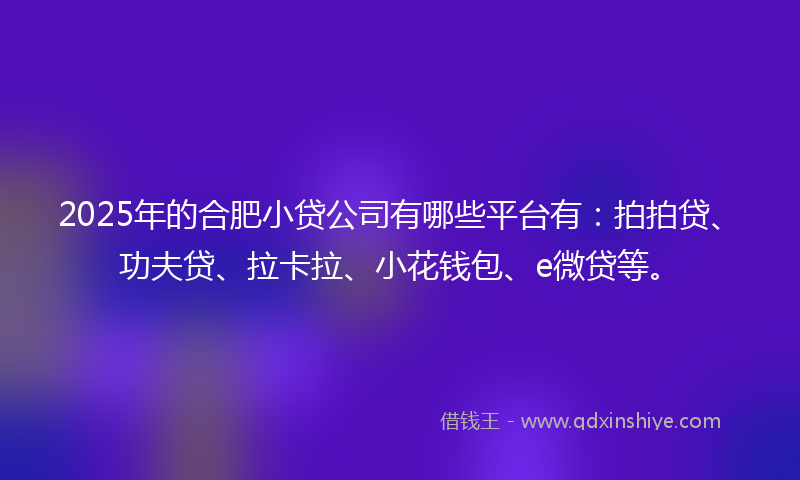 2025年的合肥小贷公司有哪些平台有：拍拍贷、功夫贷、拉卡拉、小花钱包、e微贷等。