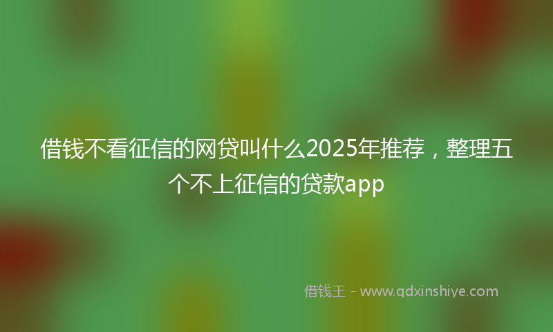 借钱不看征信的网贷叫什么2025年推荐，整理五个不上征信的贷款app