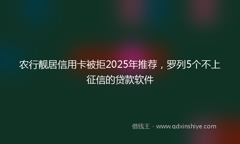 农行靓居信用卡被拒2025年推荐，罗列5个不上征信的贷款软件