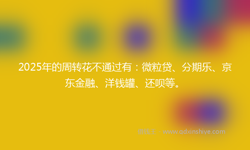 2025年的周转花不通过有：微粒贷、分期乐、京东金融、洋钱罐、还呗等。