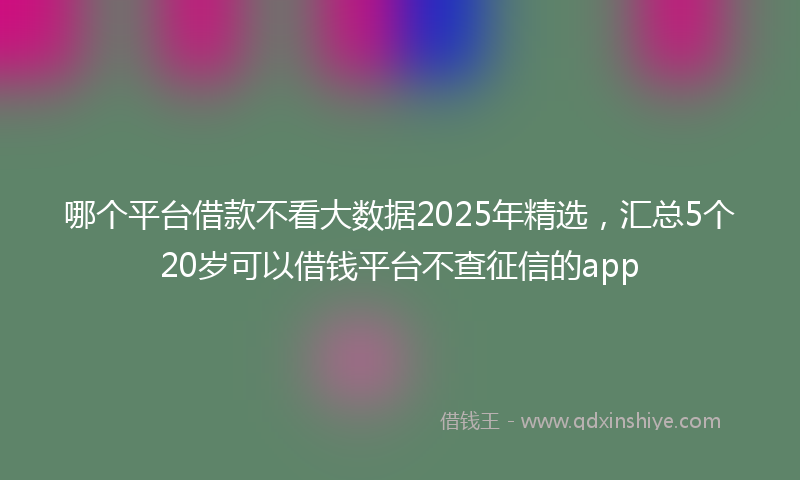 哪个平台借款不看大数据2025年精选，汇总5个20岁可以借钱平台不查征信的app