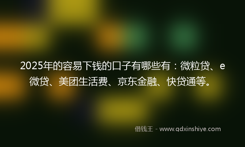 2025年的容易下钱的口子有哪些有：微粒贷、e微贷、美团生活费、京东金融、快贷通等。
