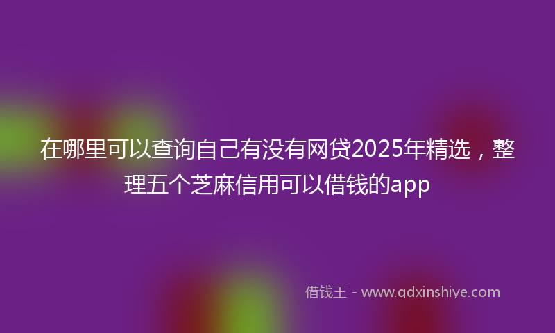 在哪里可以查询自己有没有网贷2025年精选，整理五个芝麻信用可以借钱的app