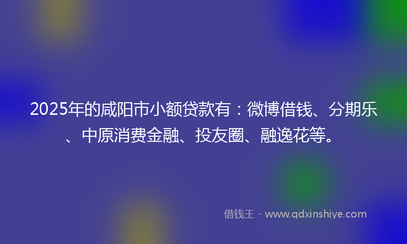 2025年的咸阳市小额贷款有：微博借钱、分期乐、中原消费金融、投友圈、融逸花等。