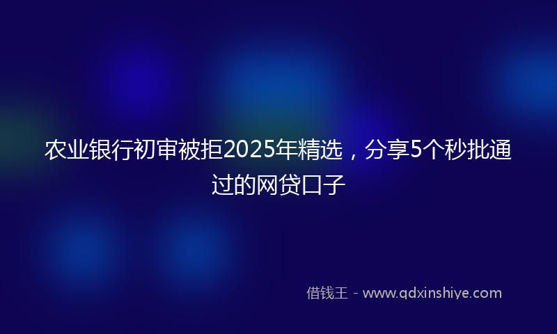 农业银行初审被拒2025年精选，分享5个秒批通过的网贷口子