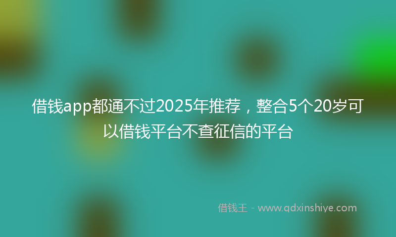 借钱app都通不过2025年推荐，整合5个20岁可以借钱平台不查征信的平台