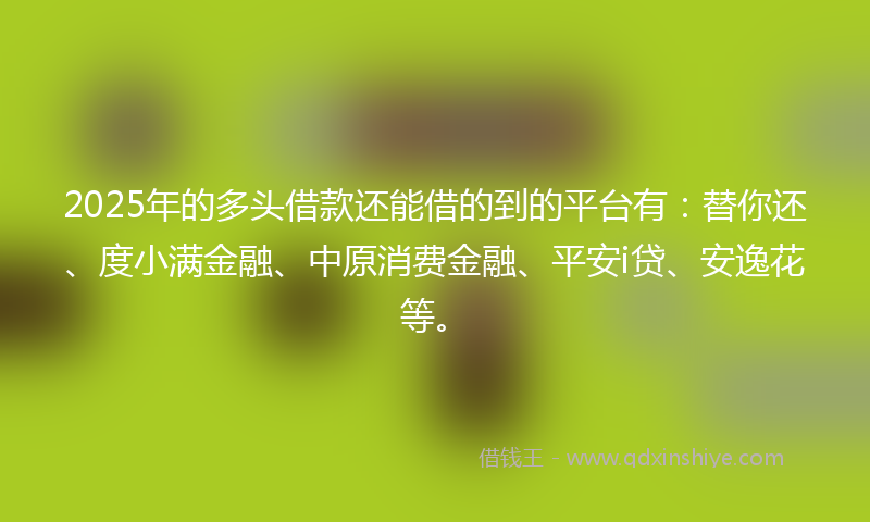 2025年的多头借款还能借的到的平台有：替你还、度小满金融、中原消费金融、平安i贷、安逸花等。