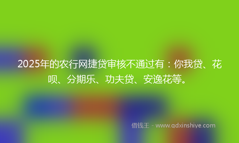 2025年的农行网捷贷审核不通过有：你我贷、花呗、分期乐、功夫贷、安逸花等。
