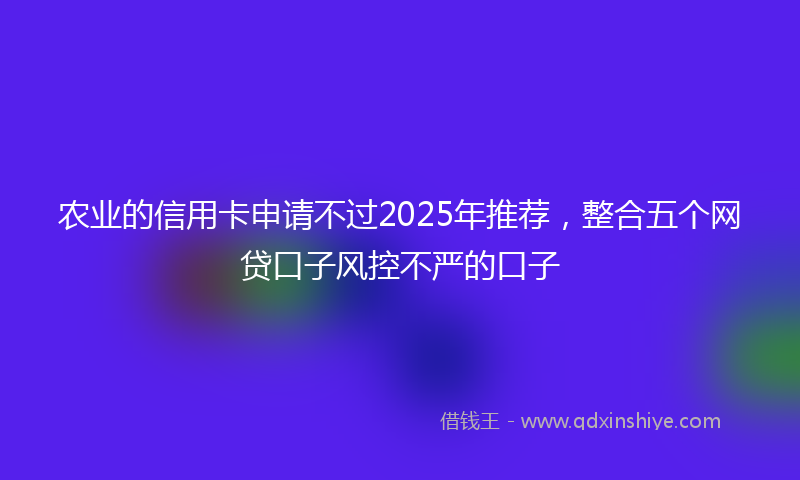 农业的信用卡申请不过2025年推荐，整合五个网贷口子风控不严的口子