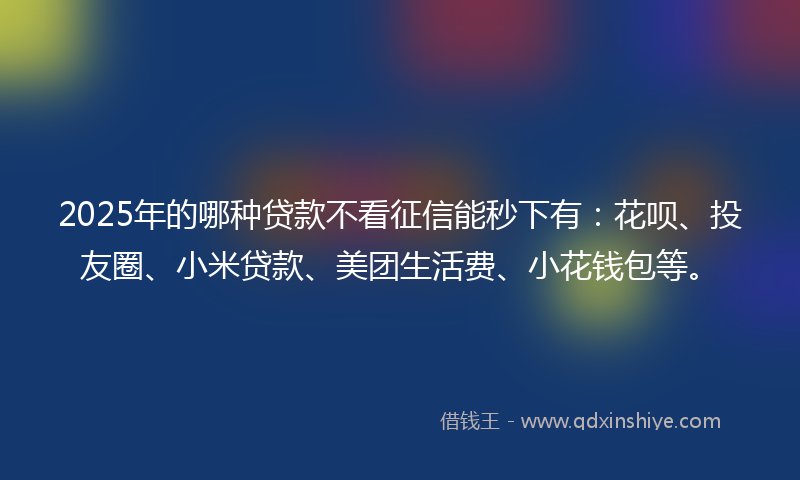 2025年的哪种贷款不看征信能秒下有：花呗、投友圈、小米贷款、美团生活费、小花钱包等。