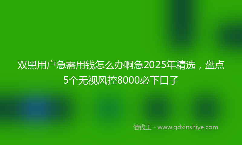 双黑用户急需用钱怎么办啊急2025年精选，盘点5个无视风控8000必下口子