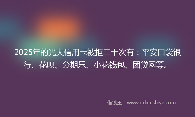 2025年的光大信用卡被拒二十次有：平安口袋银行、花呗、分期乐、小花钱包、团贷网等。