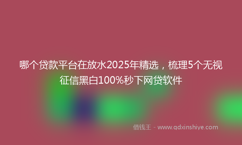 哪个贷款平台在放水2025年精选，梳理5个无视征信黑白100%秒下网贷软件