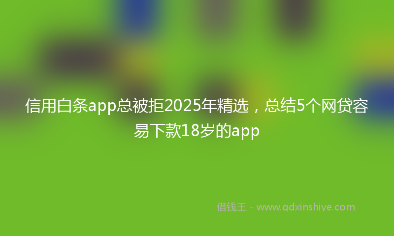 信用白条app总被拒2025年精选，总结5个网贷容易下款18岁的app