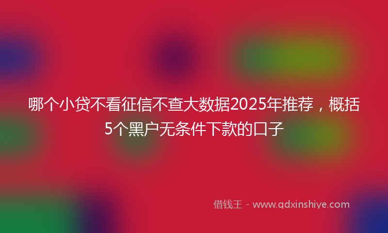 哪个小贷不看征信不查大数据2025年推荐，概括5个黑户无条件下款的口子