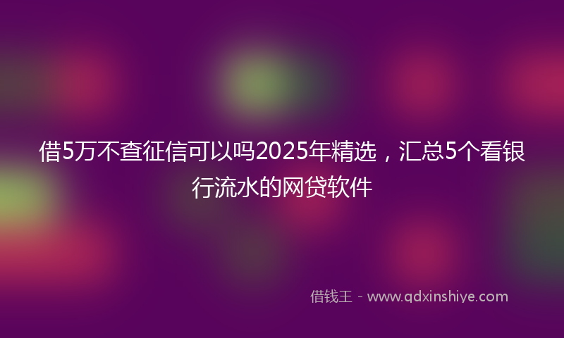 借5万不查征信可以吗2025年精选，汇总5个看银行流水的网贷软件