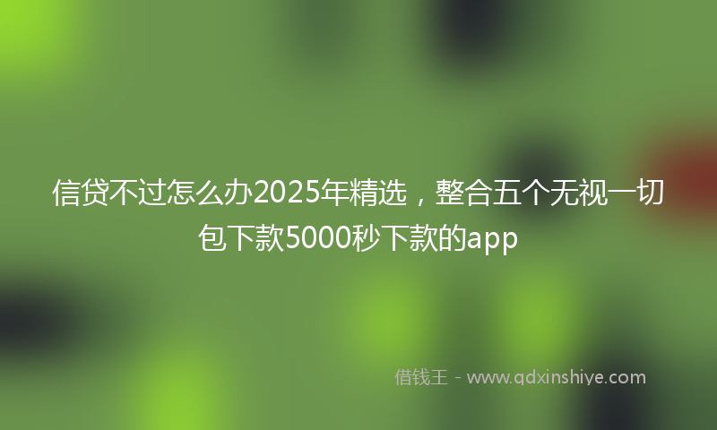 信贷不过怎么办2025年精选，整合五个无视一切包下款5000秒下款的app