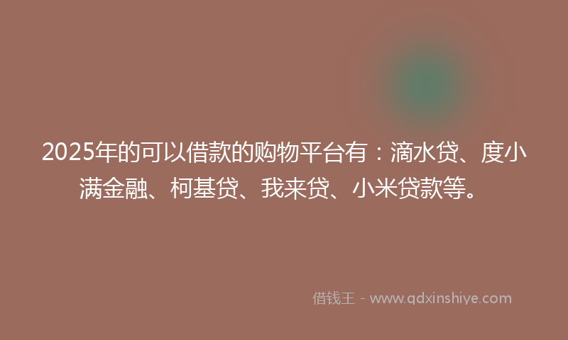 2025年的可以借款的购物平台有：滴水贷、度小满金融、柯基贷、我来贷、小米贷款等。