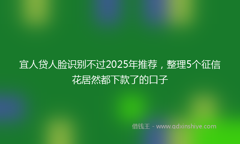 宜人贷人脸识别不过2025年推荐，整理5个征信花居然都下款了的口子