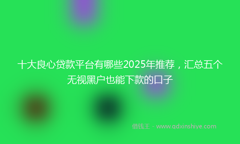 十大良心贷款平台有哪些2025年推荐，汇总五个无视黑户也能下款的口子