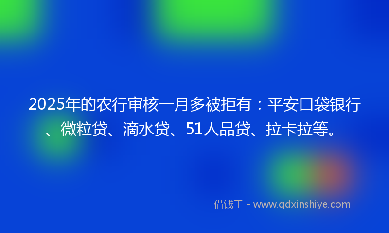 2025年的农行审核一月多被拒有：平安口袋银行、微粒贷、滴水贷、51人品贷、拉卡拉等。