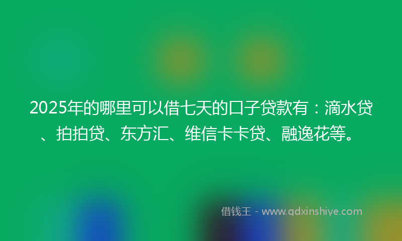 2025年的哪里可以借七天的口子贷款有：滴水贷、拍拍贷、东方汇、维信卡卡贷、融逸花等。