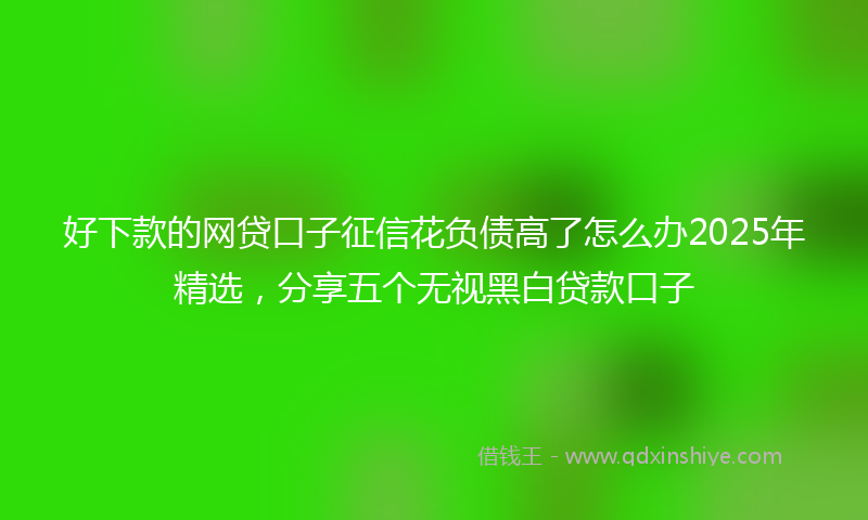 好下款的网贷口子征信花负债高了怎么办2025年精选，分享五个无视黑白贷款口子
