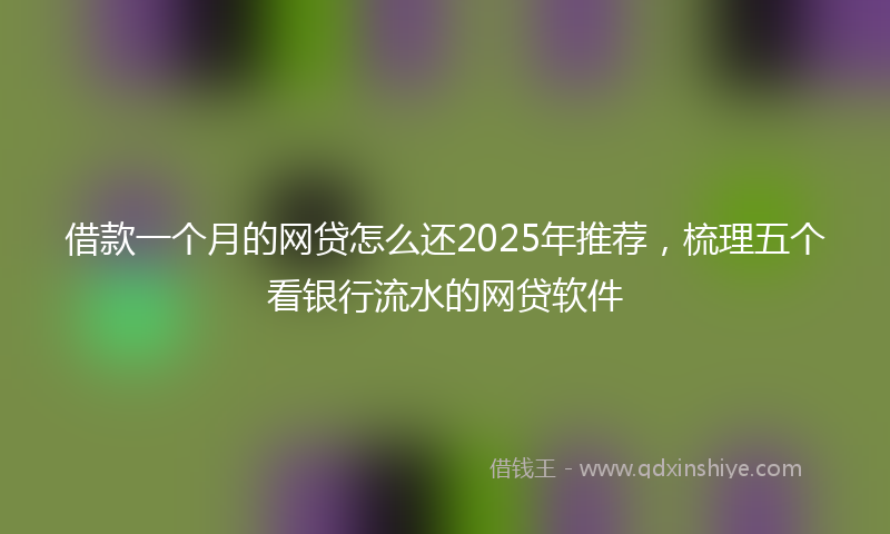 借款一个月的网贷怎么还2025年推荐，梳理五个看银行流水的网贷软件