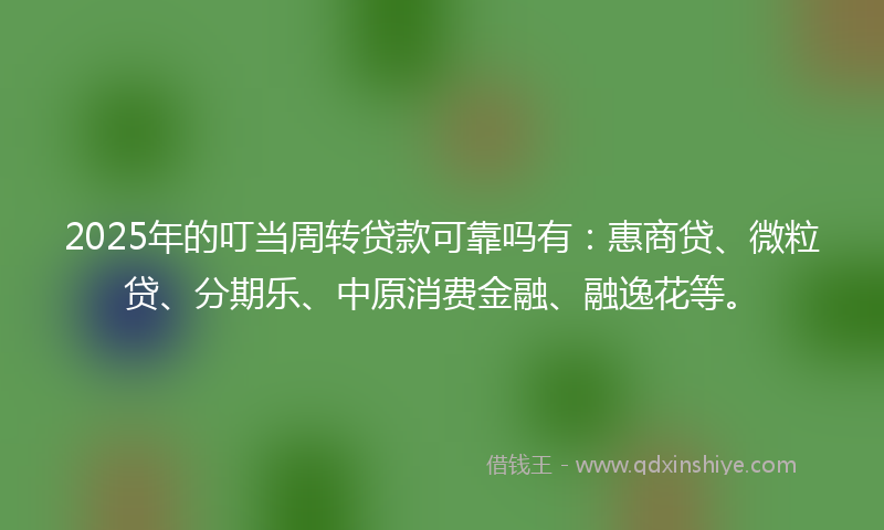 2025年的叮当周转贷款可靠吗有：惠商贷、微粒贷、分期乐、中原消费金融、融逸花等。