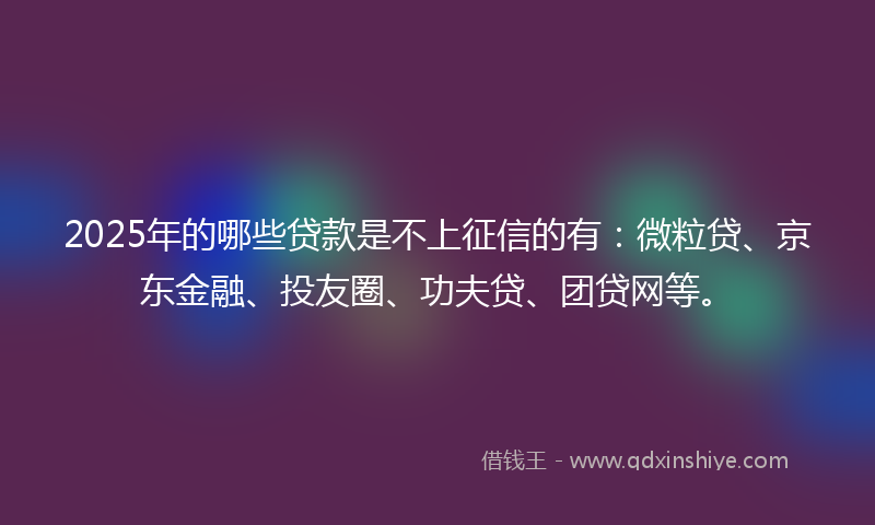 2025年的哪些贷款是不上征信的有：微粒贷、京东金融、投友圈、功夫贷、团贷网等。