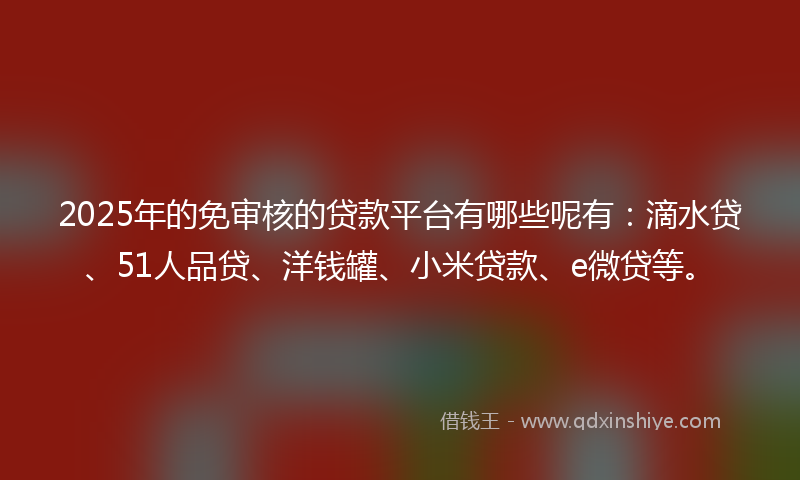 2025年的免审核的贷款平台有哪些呢有：滴水贷、51人品贷、洋钱罐、小米贷款、e微贷等。