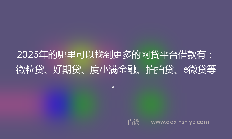 2025年的哪里可以找到更多的网贷平台借款有：微粒贷、好期贷、度小满金融、拍拍贷、e微贷等。
