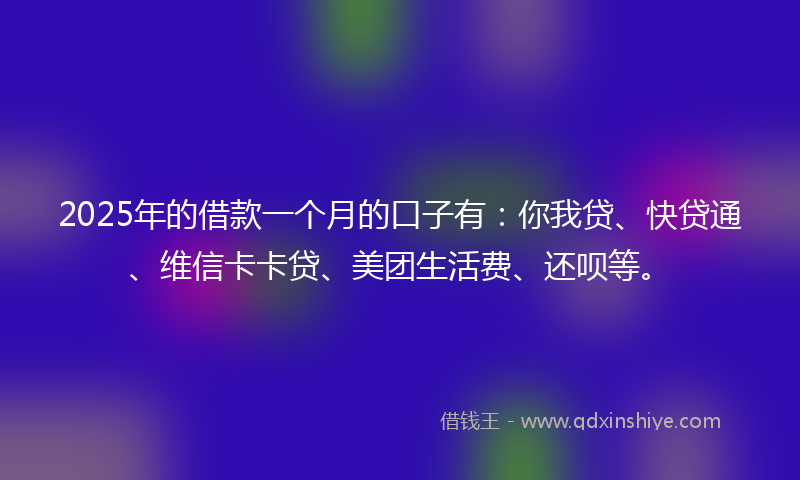 2025年的借款一个月的口子有：你我贷、快贷通、维信卡卡贷、美团生活费、还呗等。