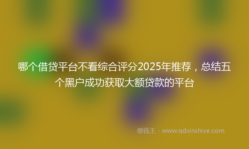 哪个借贷平台不看综合评分2025年推荐，总结五个黑户成功获取大额贷款的平台