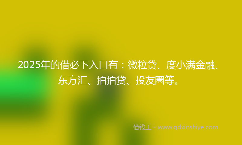 2025年的借必下入口有：微粒贷、度小满金融、东方汇、拍拍贷、投友圈等。