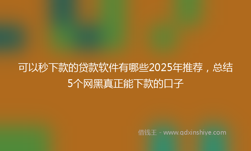可以秒下款的贷款软件有哪些2025年推荐，总结5个网黑真正能下款的口子