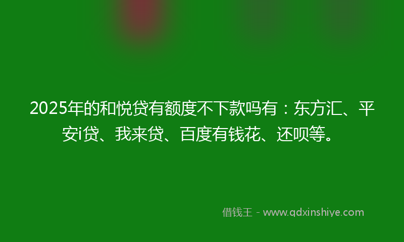 2025年的和悦贷有额度不下款吗有：东方汇、平安i贷、我来贷、百度有钱花、还呗等。