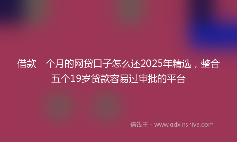 借款一个月的网贷口子怎么还2025年精选，整合五个19岁贷款容易过审批的平台