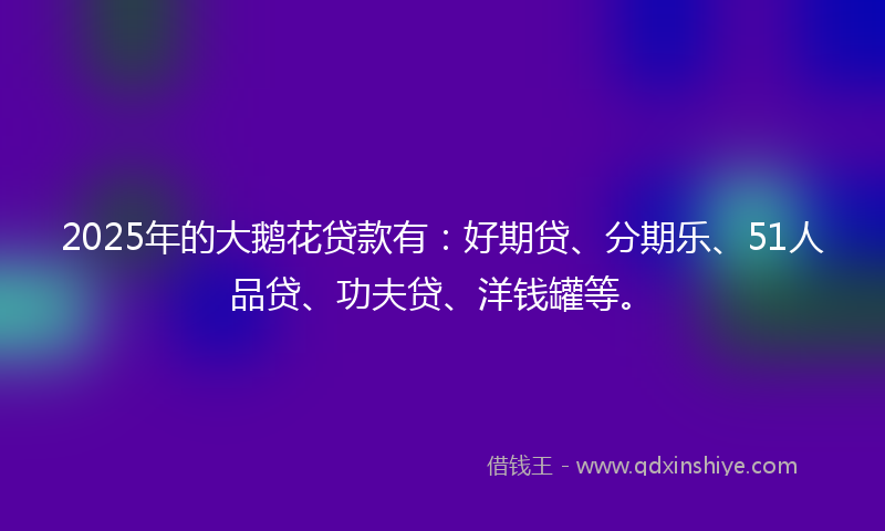 2025年的大鹅花贷款有：好期贷、分期乐、51人品贷、功夫贷、洋钱罐等。