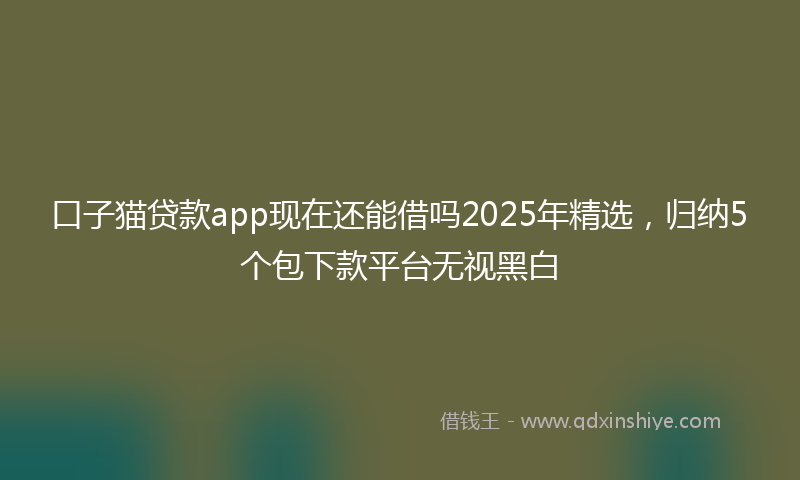 口子猫贷款app现在还能借吗2025年精选，归纳5个包下款平台无视黑白